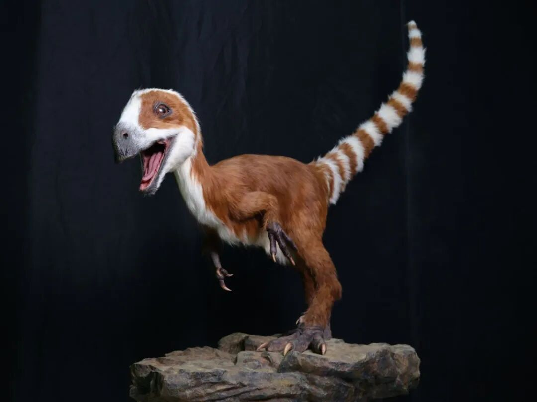 世界首例具身智能恐龍，開啟機器人娛樂化新賽道